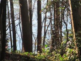 Lot 15 F Cherokee Ridge Road