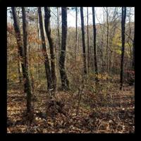 Lot #7 Keowee Harbours Access Rd Road
