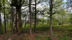Lot 369 Harbor Light Marina Rd