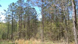 Lot 140 Lake Walk Way