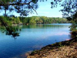 Lot 81 Peninsula Pointe South