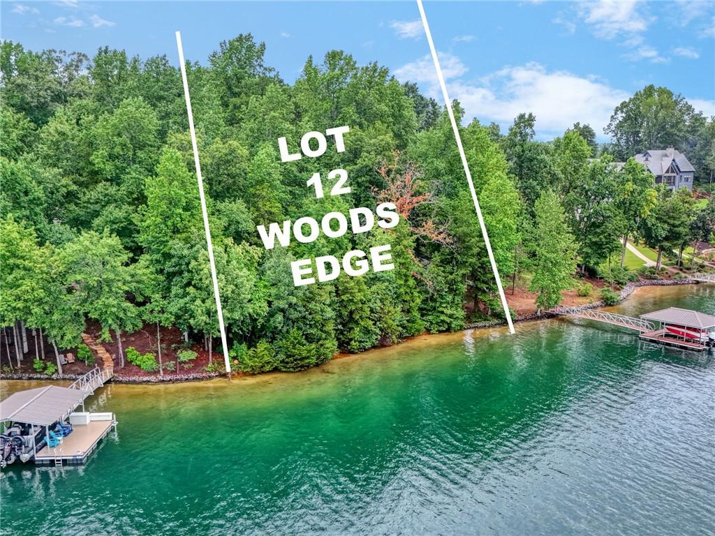 Image 2: A verdant, wooded lot awaits, boasting direct wate