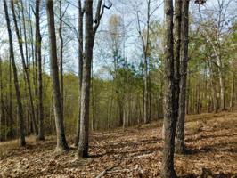 Lot 88 Green Cove Way