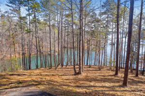 Lot 35 Crystal Cove Trail