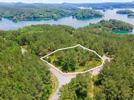 206 Bentwood Way
