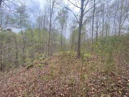 580 Edgewater Trail