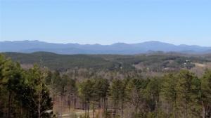 151 Piney Woods Trail