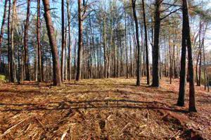 Lot #39 Eastatoe Parkway