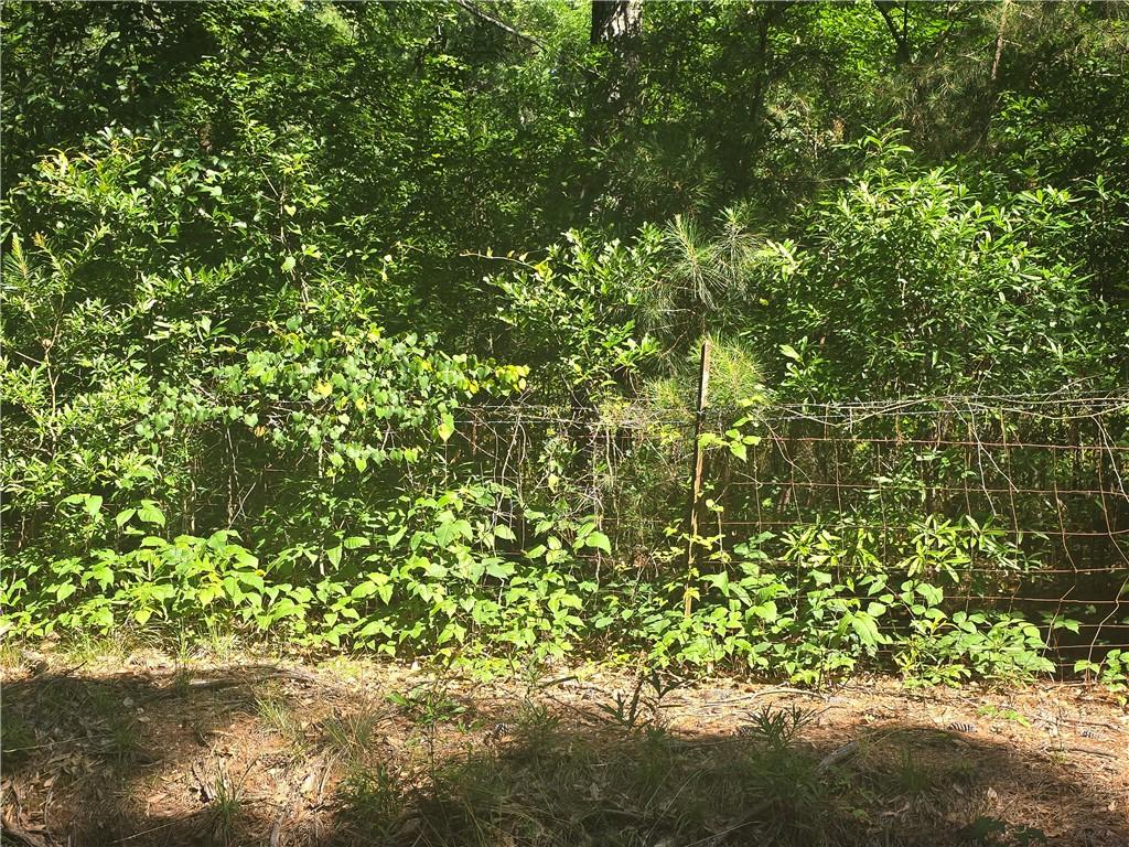 Image 3: Secure, private property line defined by a robust