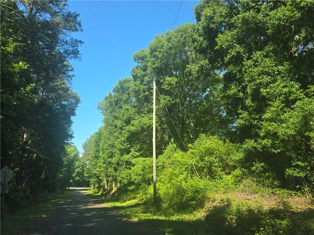 Image 4: A tranquil, tree-lined road offers a private escap
