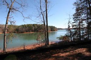 Lot 25 Peninsula Pointe North