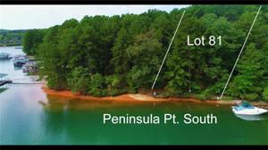 Lot 81 Peninsula Pointe South