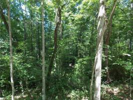 Lot 4 Fairview Church Road