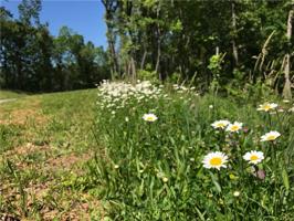 00 Hardwood Pointe Drive Lot 63