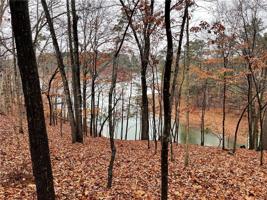 Lot 4 Gum Branch Circle