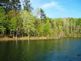 48.672 Acres W Bryant Road