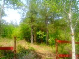Lot 61 Sweetwater View Road