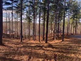 Lot 34 Highland Shores at Keowee