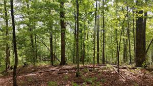 Lot 80 Sawyer Way