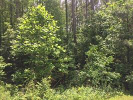 Muirfield/Golden Bear Drive Lot E 19