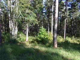 Lot 62 High Pines Drive