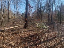Lot 301 Teepee Lane