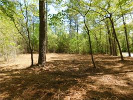 206 Smooth Rock Court