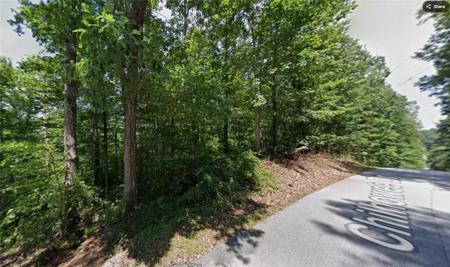 116 Chilhowee Drive