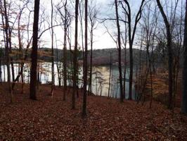 Lot 108 Peninsula Pointe S