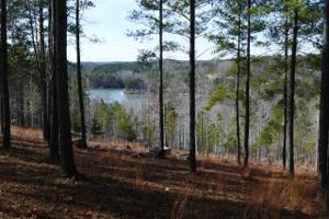 Lot 54 Highland Ridge Road
