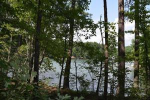 Lot 33 Escape Trail