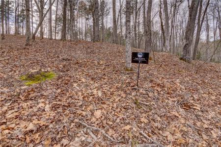Lot 7 Grays Peak Drive