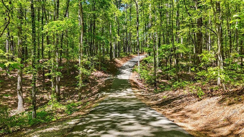Image 4: walking trail