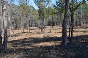Lot 1 Stokes Drive