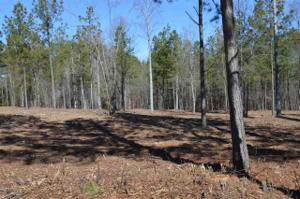 Lot 2 Stokes Drive