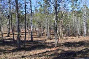 Lot 3 Stokes Drive