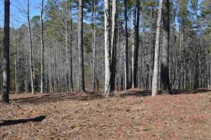 Lot 4 Stokes Drive