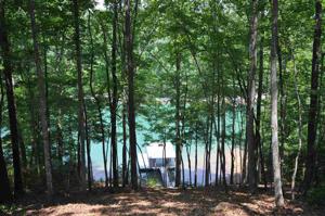 116 Longwood Lane #F 36 Lane