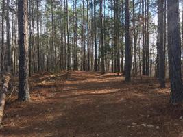 110 Crosswinds Court