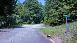 205 Trottingwolf Trail