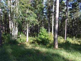 00 High Pines Drive Lot 62