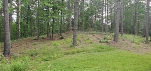Lot 22 Vineyard Park