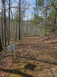 Lot 43 C@KFS High Ridge Deerchase Court