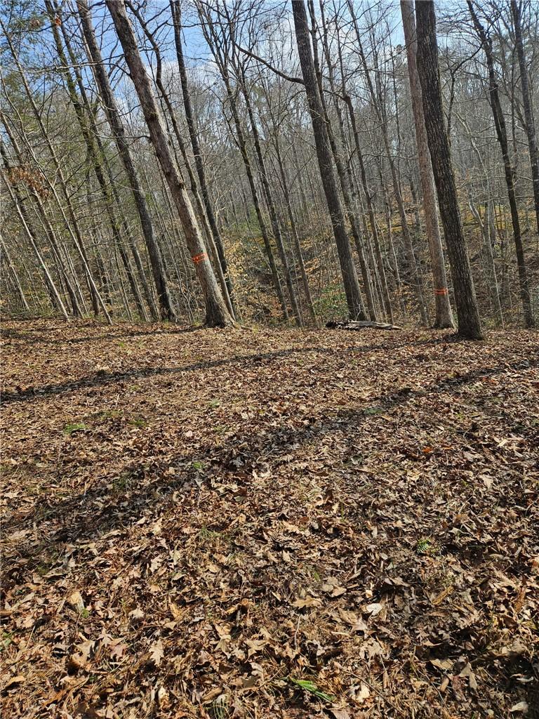 Image 2: Private lot offers a peaceful retreat surrounded b