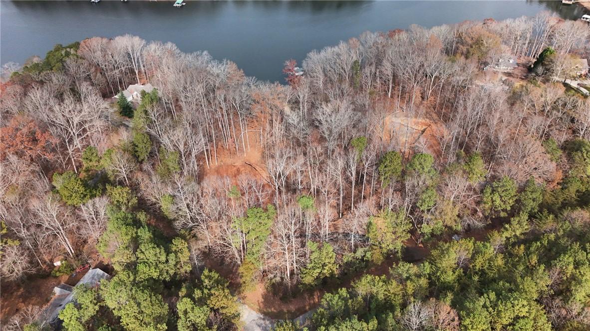 Image 1: Lakefront lot