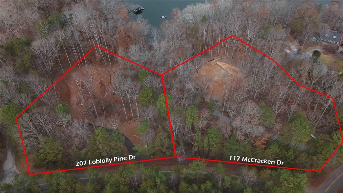 Image 2: Lot lines for both lots