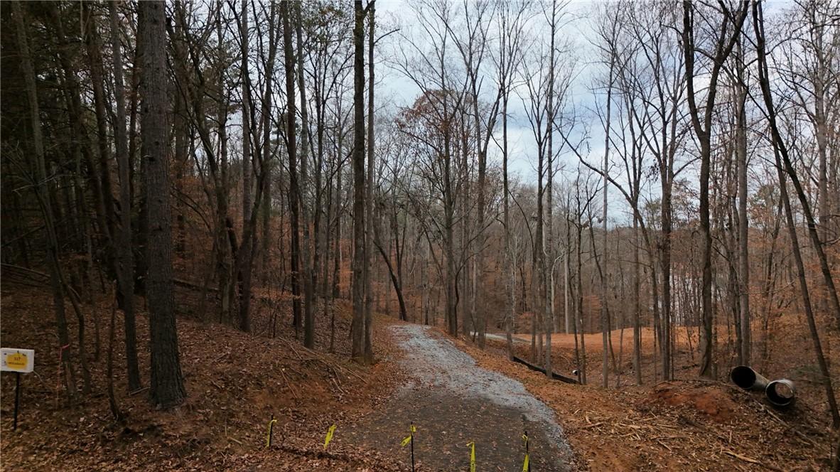 Image 4: Driveway