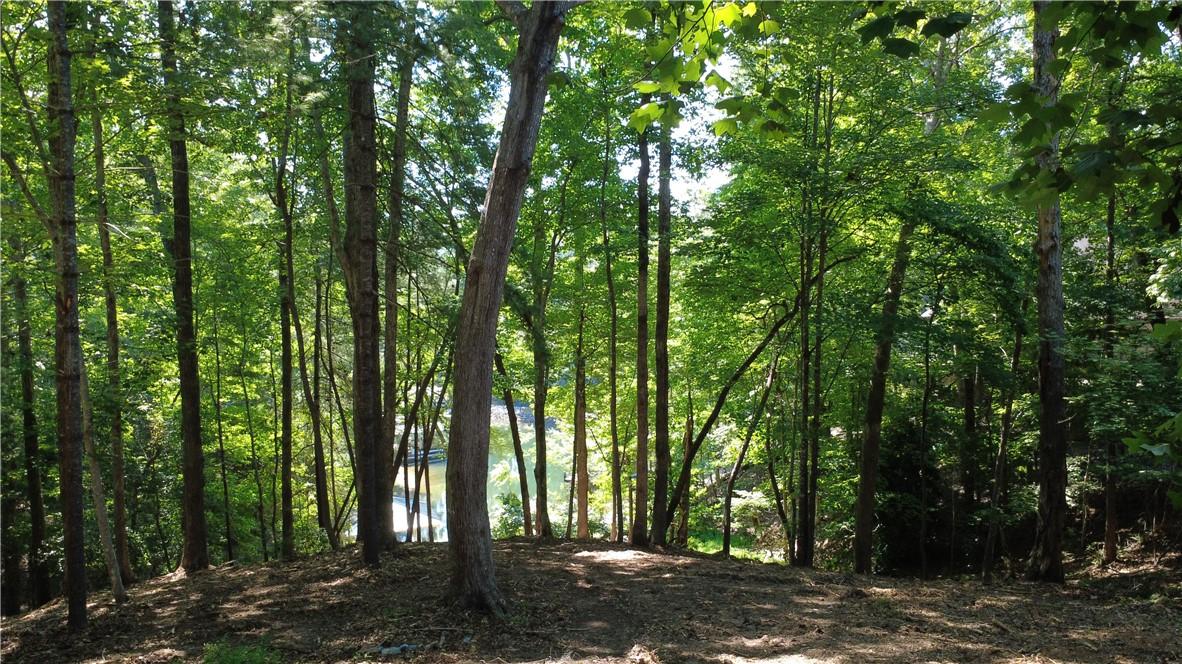 Image 3: Towering hardwoods frame this wooded homesite, cre