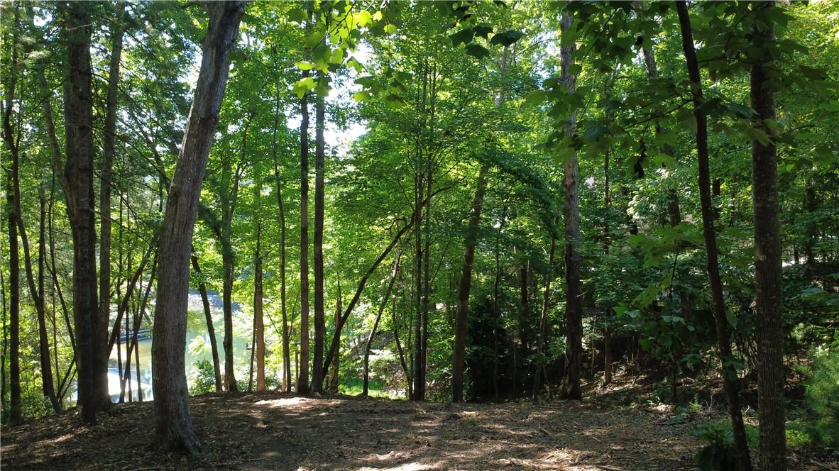 Image 4: A serene wooded homesite provides a peaceful retre