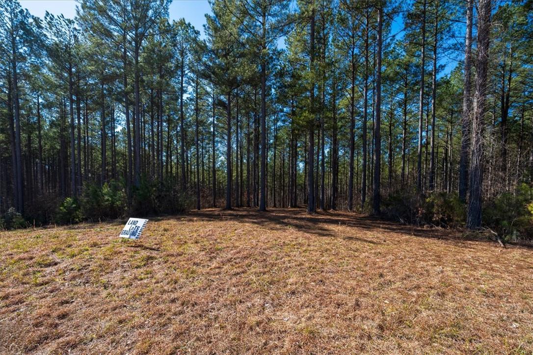 Image 3: Mature trees line the property, creating a natural